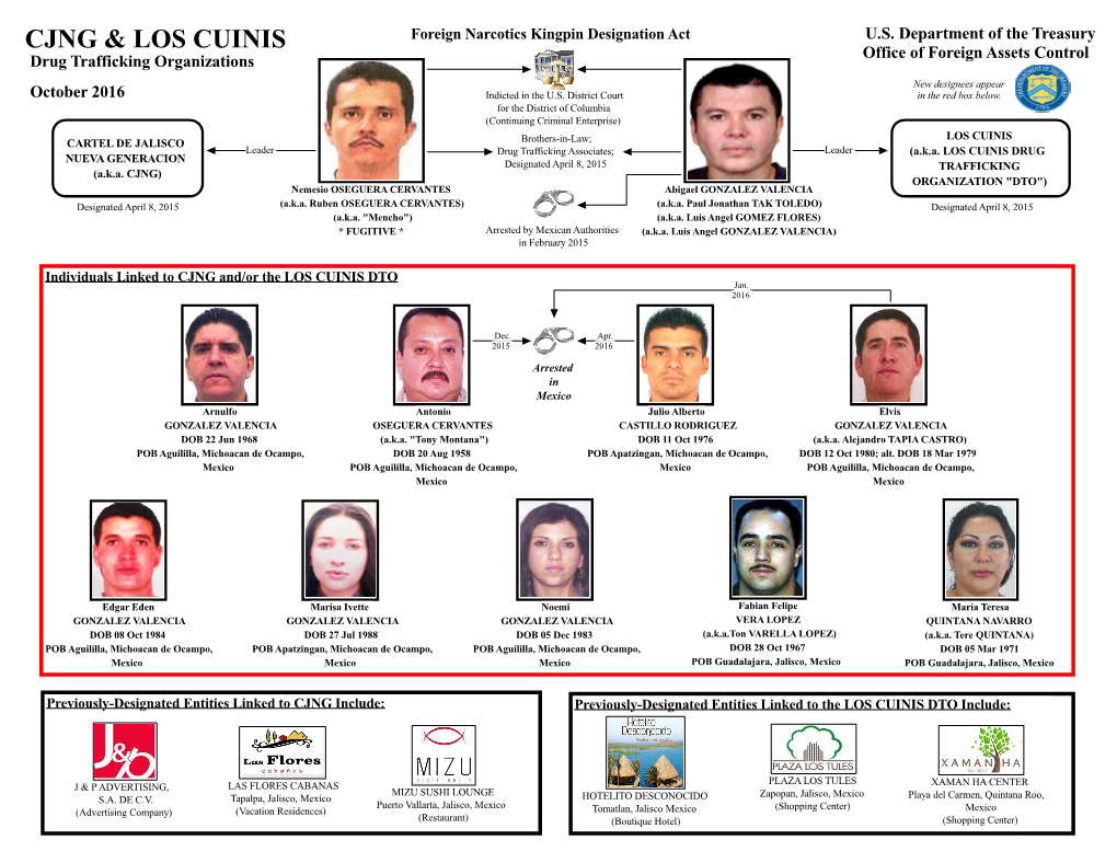 Cjng & Los Cuinis