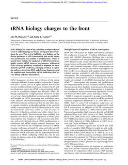 Trna Biology Charges to the Front