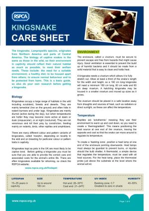 Kingsnake Care Sheet