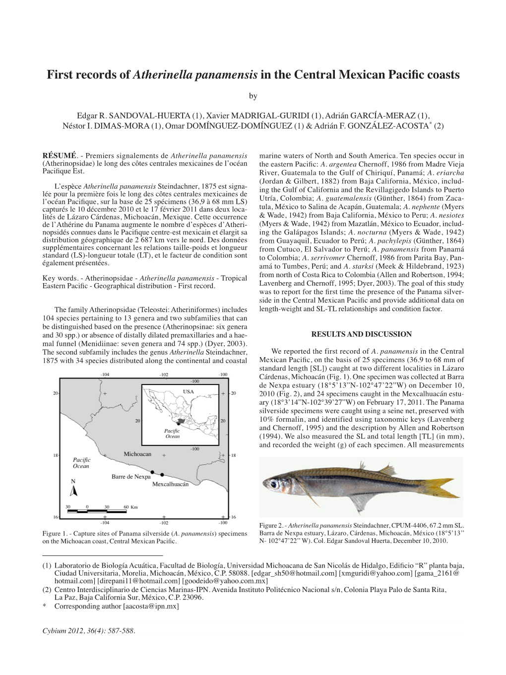 First Records of Atherinella Panamensis in the Central Mexican Pacific Coasts