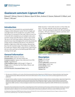 Guaiacum Sanctum: Lignum Vitae1 Edward F