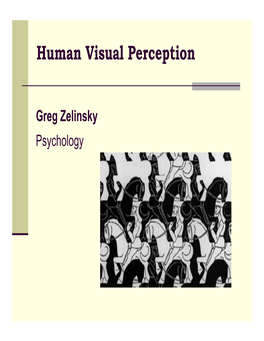 Human Visual Perception