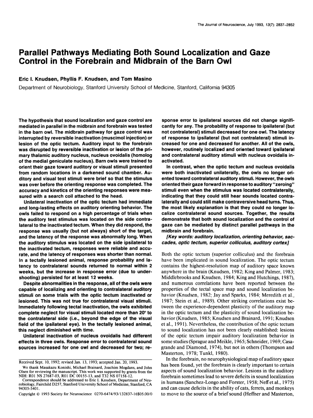 Parallel Pathways Mediating Both Sound Localization and Gaze Control in the Forebrain and Midbrain of the Barn Owl