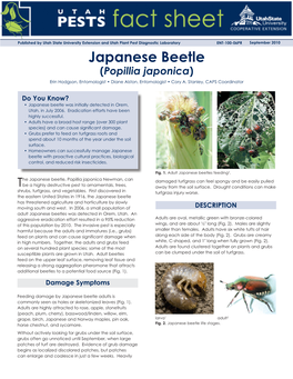 Japanese Beetle (Popillia Japonica) Erin Hodgson, Entomologist • Diane Alston, Entomologist • Cory A