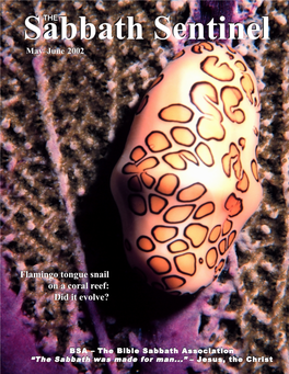 Flamingo Tongue Snail on a Coral Reef