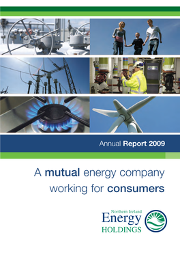 Northern Ireland Energy Holdings Annual Report 2009