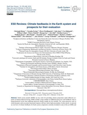 ESD Reviews: Climate Feedbacks in the Earth System and Prospects for Their Evaluation