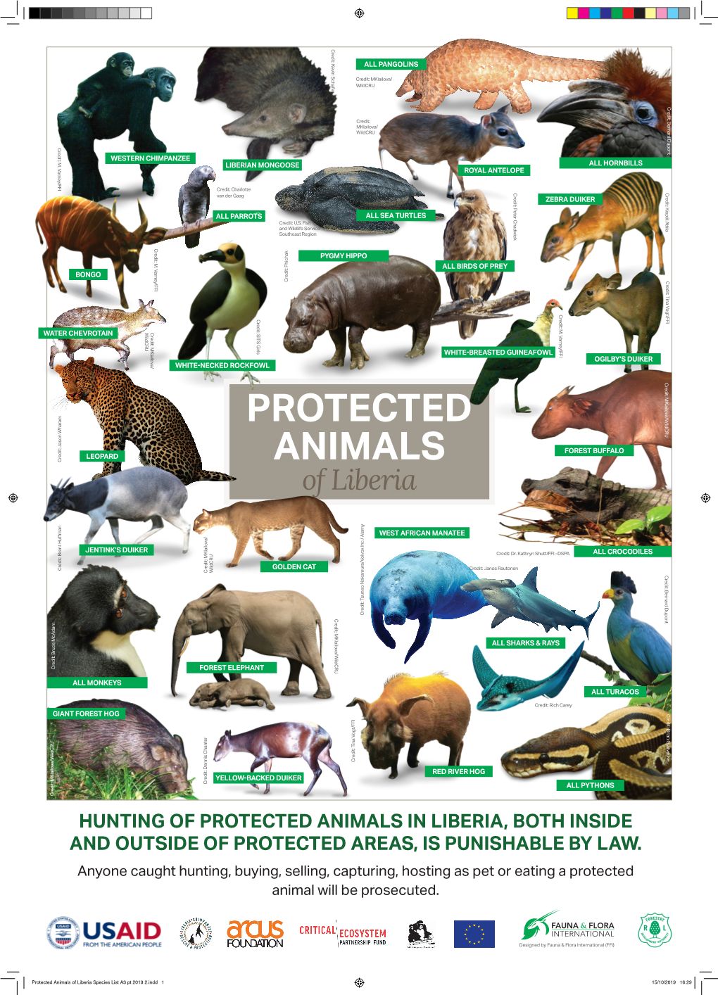 Protected Animals in Liberia, Both Inside and Outside of Protected Areas, Is Punishable by Law