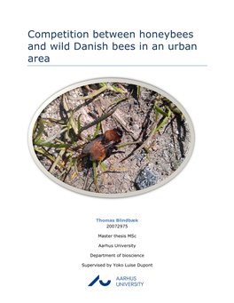 Competition Between Honeybees and Wild Danish Bees in an Urban Area