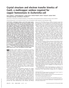 Crystal Structure and Electron Transfer Kinetics of Cueo, a Multicopper Oxidase Required for Copper Homeostasis in Escherichia Coli