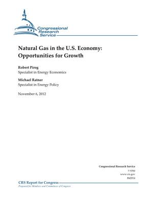 Natural Gas in the US Economy