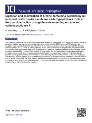 Digestion and Assimilation of Proline-Containing Peptides by Rat Intestinal Brush Border Membrane Carboxypeptidases