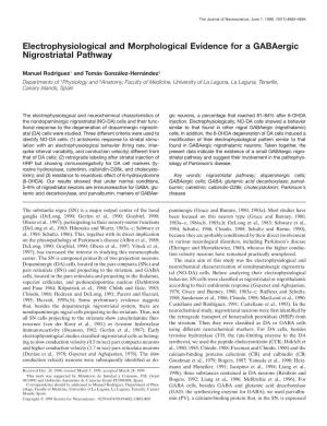 Electrophysiological and Morphological Evidence for a Gabaergic Nigrostriatal Pathway