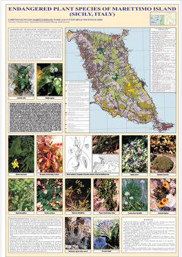 Endangered Plant Species of Marettimo Island (Sicily, Italy)