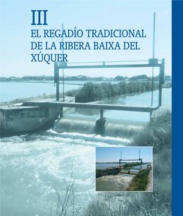 El Regadío Tradicional De La Ribera Baixa Del Xúquer Capítulo 1