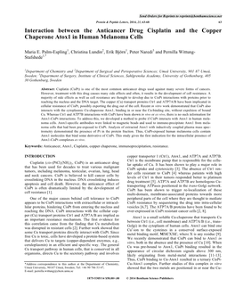 Interaction Between the Anticancer Drug Cisplatin and the Copper Chaperone Atox1 in Human Melanoma Cells