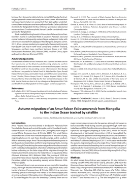 Autumn Migration of an Amur Falcon Falco Amurensis from Mongolia to the Indian Ocean Tracked by Satellite ANDREW DIXON, NYAMBAYAR BATBAYAR and GANKHUYAG PUREV-OCHIR