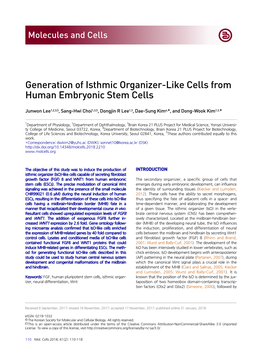 Generation of Isthmic Organizer-Like Cells from Human Embryonic Stem Cells