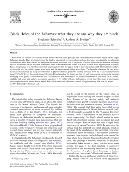 Black Holes of the Bahamas: What They Are and Why They Are Black Stephanie Schwabea,*, Rodney A
