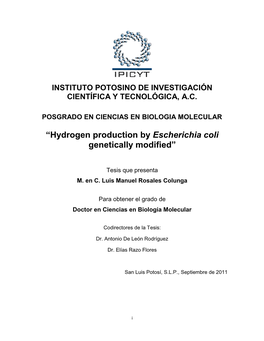 “Hydrogen Production by Escherichia Coli Genetically Modified”