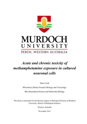 Acute and Chronic Toxicity of Methamphetamine Exposure in Cultured Neuronal Cells