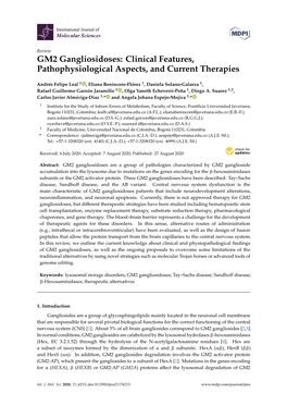 GM2 Gangliosidoses: Clinical Features, Pathophysiological Aspects, and Current Therapies