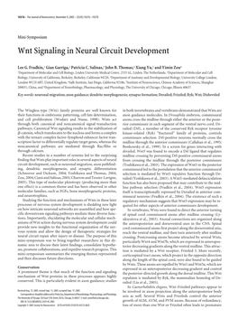 Wnt Signaling in Neural Circuit Development
