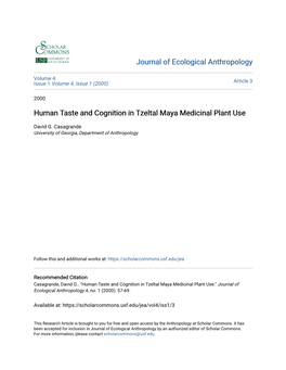 Human Taste and Cognition in Tzeltal Maya Medicinal Plant Use
