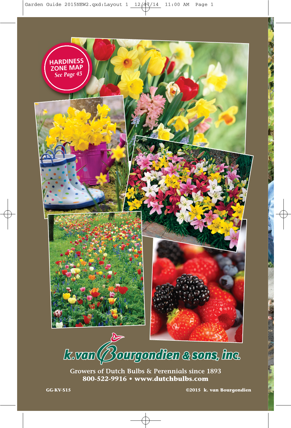 Perennials Since 1893 800-522-9916 •