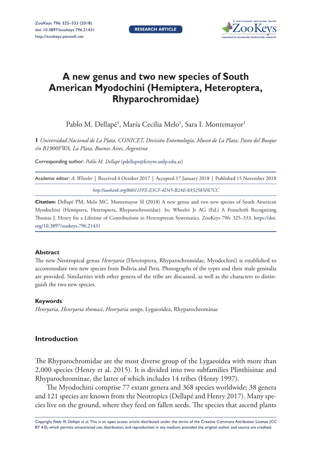 A New Genus and Two New Species of South American Myodochini