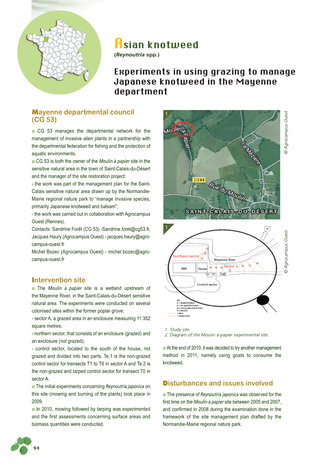 Managing Japanese Knotweed in the Gardon Basin