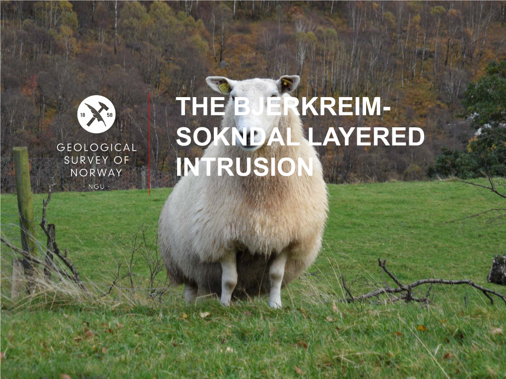 The Bjerkreim- Sokndal Layered Intrusion Apatite Facts