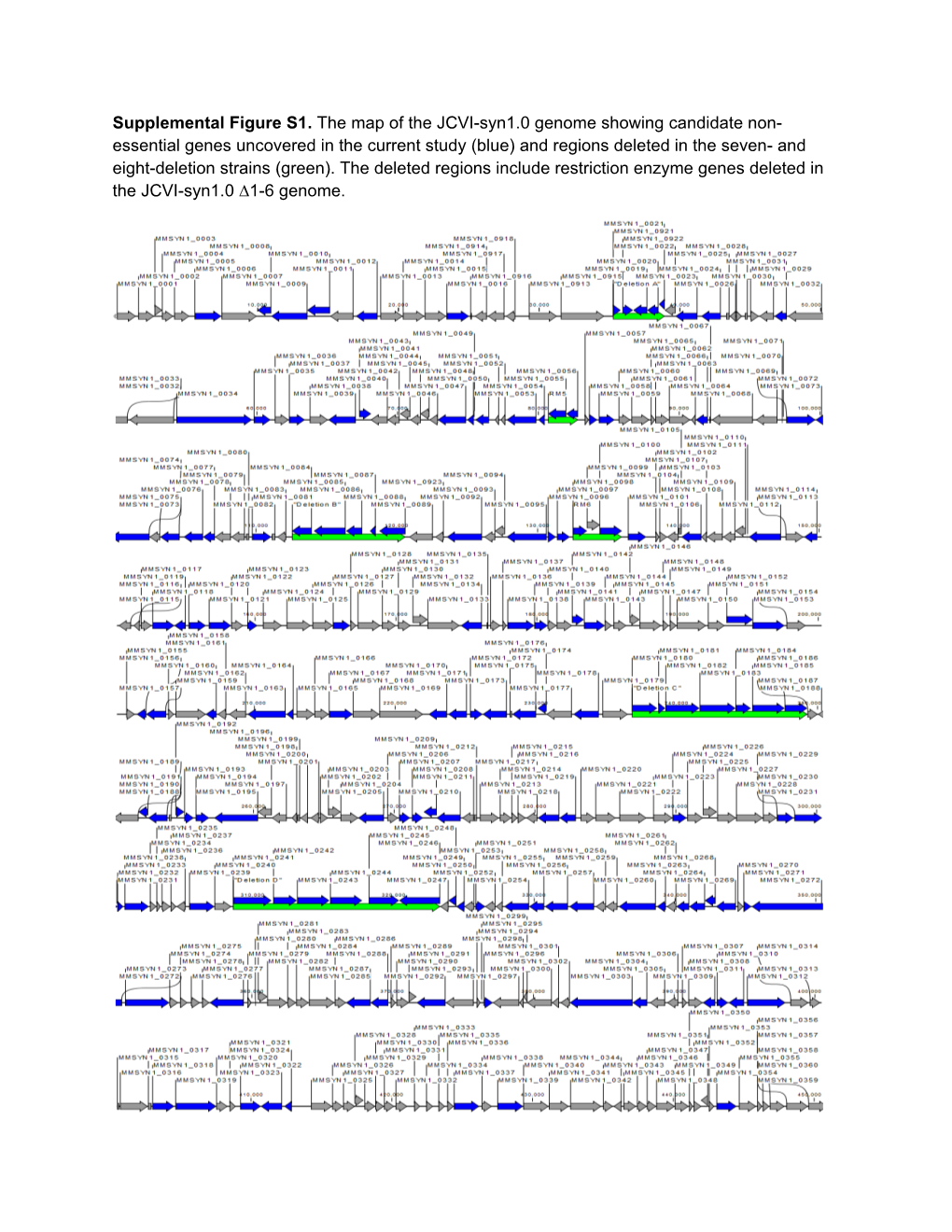 Supplemental Figure S1. the Map of the JCVI-Syn1.0 Genome Showing