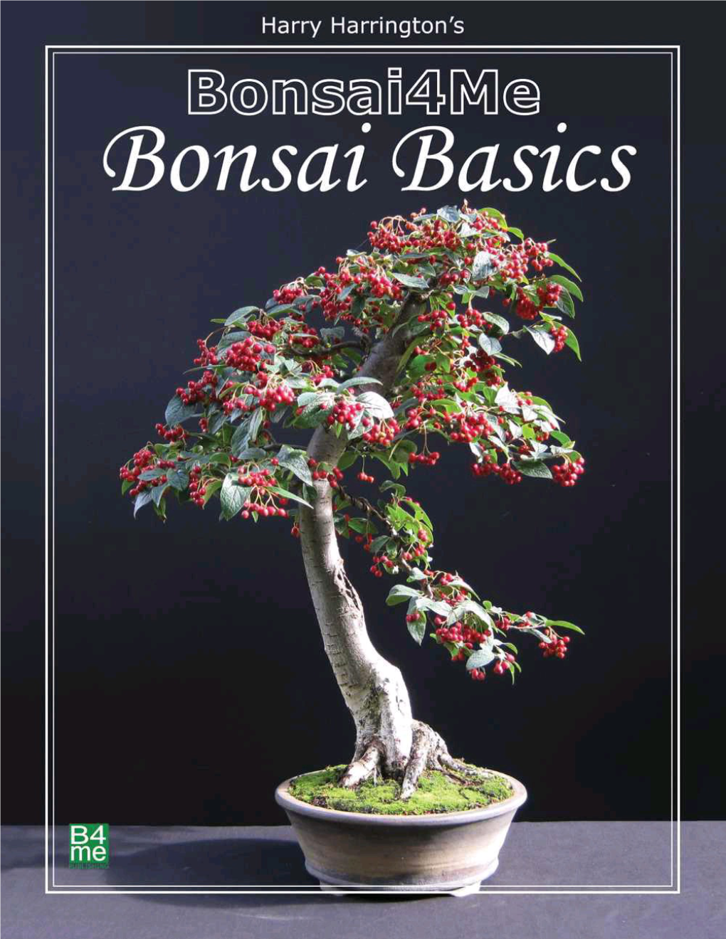 Bonsai4me: Bonsai Basics by Harry Harrington