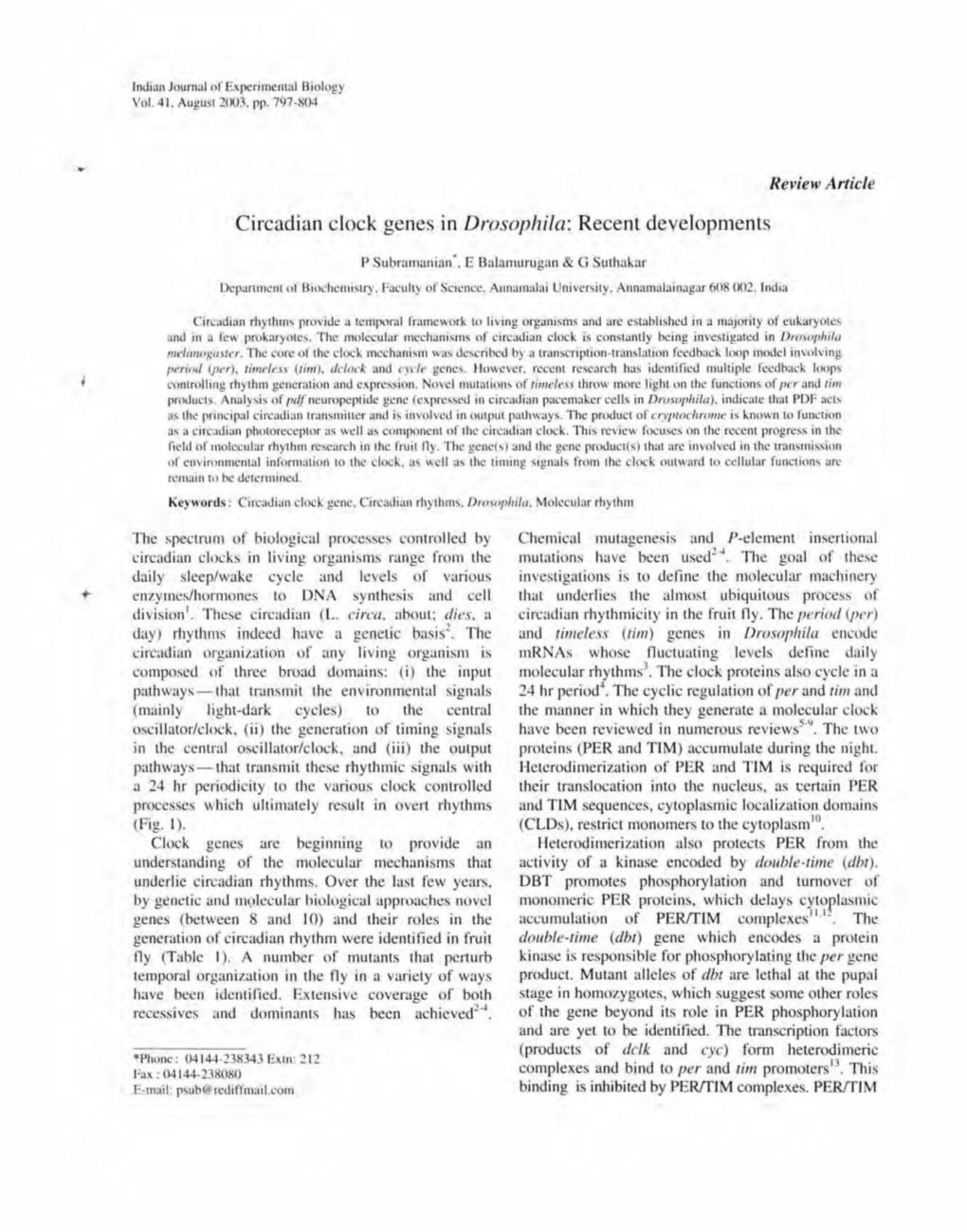 Circadian Clock Genes in Drosophila: Recent Developments