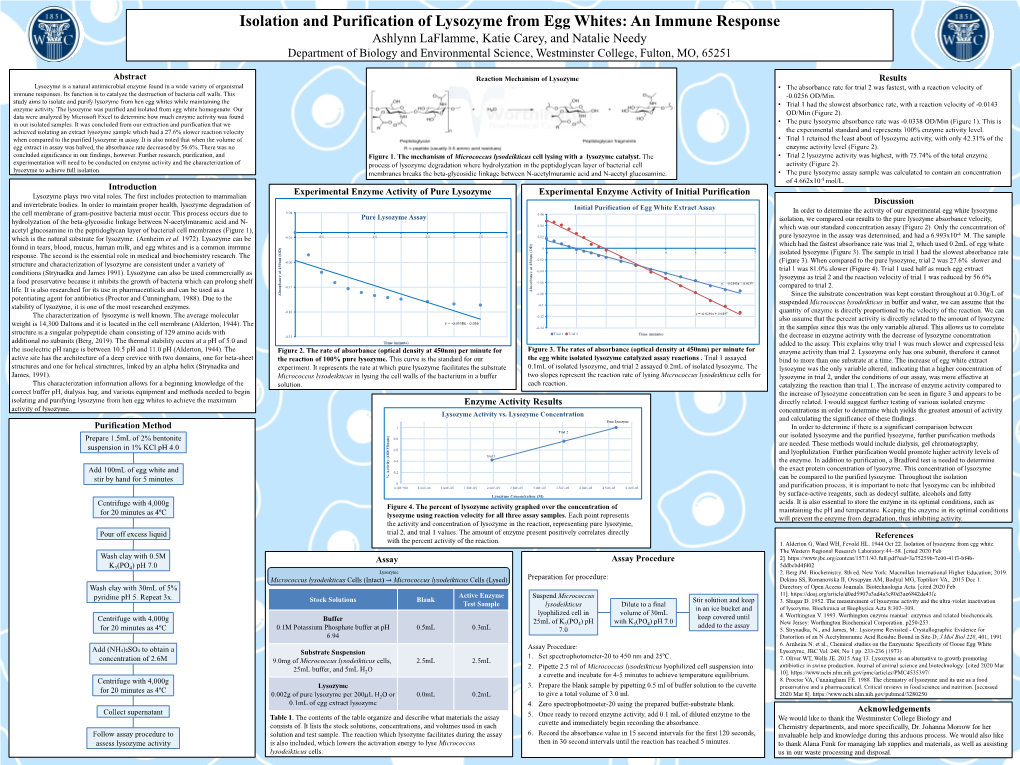 Isolation and Purification of Lysozyme from Egg