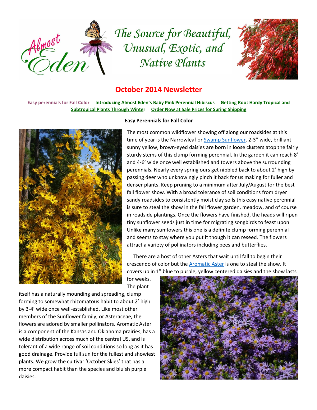 October 2014 Newsletter