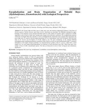 Encephalization and Brain Organization of Mobulid Rays (Myliobatiformes, Elasmobranchii) with Ecological Perspectives Csilla Ari*1,2,3