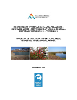 Informe Flora Y Vegetación En Area Pelambres – Cuncumén, Mauro – Monte Aranda Y Laguna Conchalí, Campañas Primavera 2015 – Verano 2016
