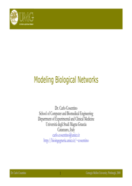 Modeling of Biological Networks