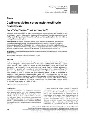 Cyclins Regulating Oocyte Meiotic Cell Cycle Progression