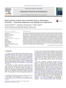 Insecta: Neuroptera: Sisyridae) E Functional Adaptations and Phylogenetic Implications