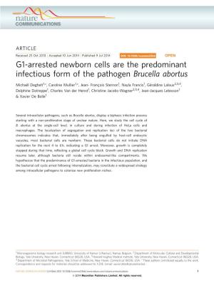 G1-Arrested Newborn Cells Are the Predominant Infectious Form of the Pathogen Brucella Abortus