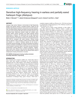 Sensitive High-Frequency Hearing in Earless and Partially Eared Harlequin Frogs (Atelopus) Molly C