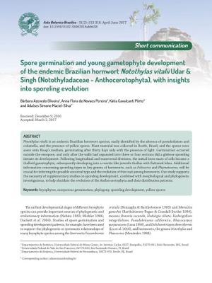 Spore Germination and Young Gametophyte Development of the Endemic Brazilian Hornwort Notothylas Vitalii Udar & Singh