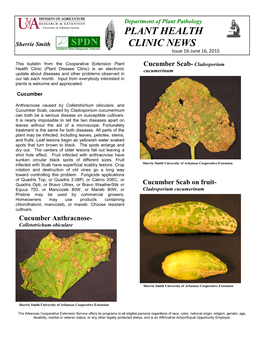 Plant Health Clinic News