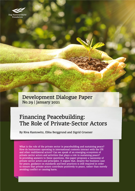 Financing Peacebuilding: the Role of Private-Sector Actors