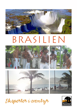 Brasilien Katalog