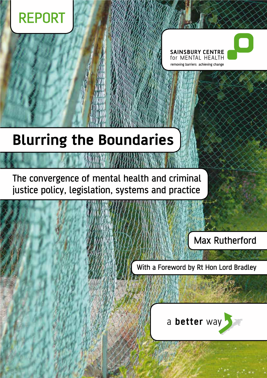 Blurring the Boundaries REPORT