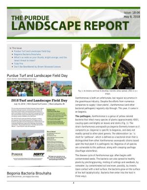 Purdue Turf and Landscape Field Day Begonia Bacteria Brouhaha